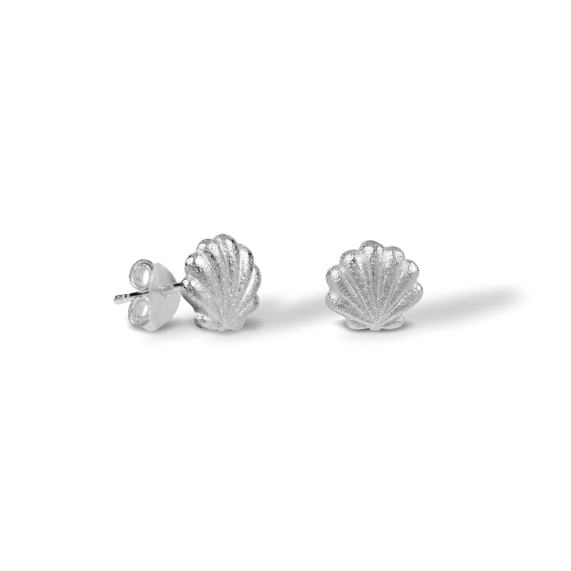 Sterling silver stud earrings clam 'Sey Shell'