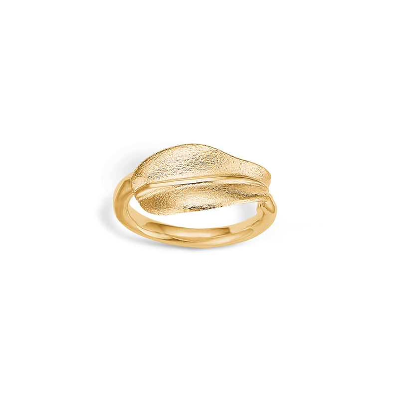 Forgyldt ring med blad