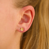 Gold-plated sterling silver ear studs 'Sey Weed'