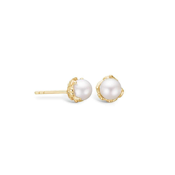 14 kt gold ear studs with exquisite freshwater pearl - 6 mm