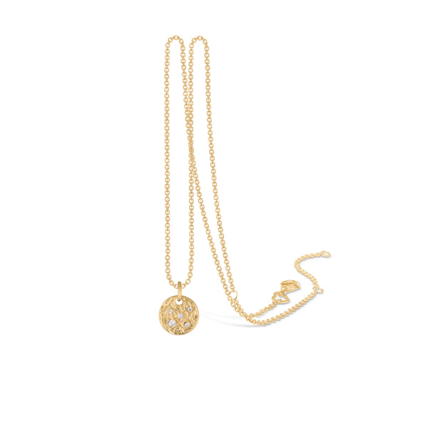 Gold-plated silver necklace with rustic plate and white cz