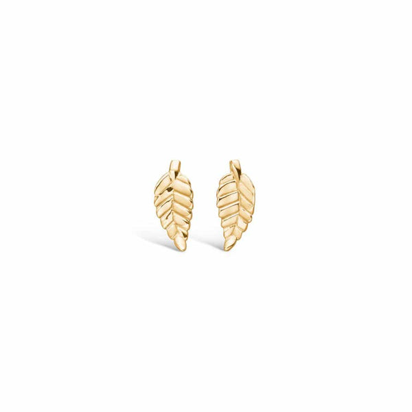 Gold-plated sterling silver ear studs with shiny leaf
