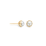 Gold-plated sterling silver 6mm freshwater pearl earrings in a matte bowl setting